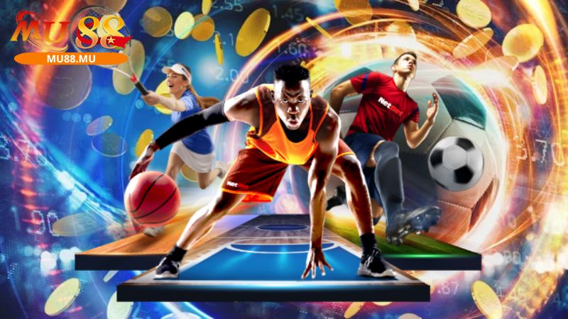 Điểm nổi bật của sảnh thể thao